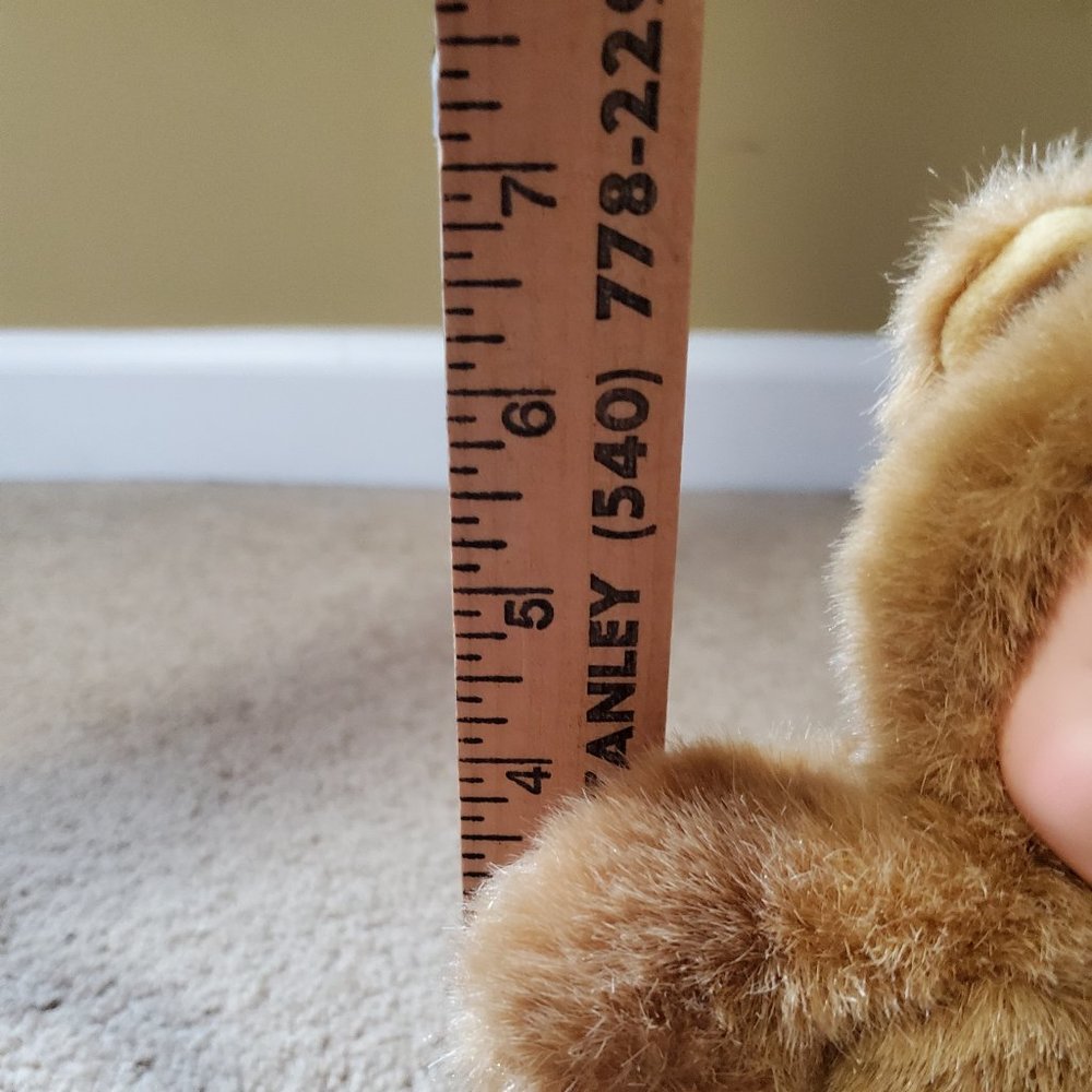 Anne Geddes Baby Bear - Picture 5 of 9